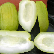 TRANCHES OF CITRON PEEL